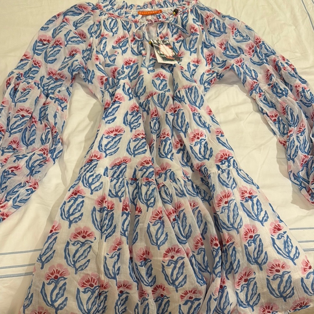 Oliphant Blue and Pink Floral Dress